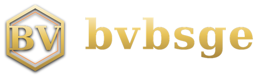 bvbsge logo